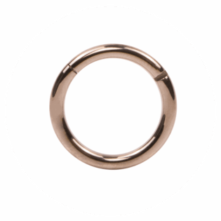 Segment Ring