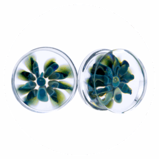 Spiders Doble Flared Plug