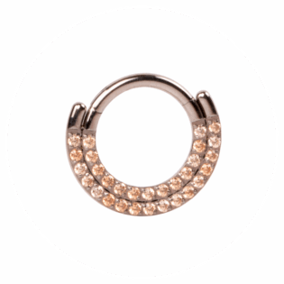Double Line Champagne Zircons Segment Ring