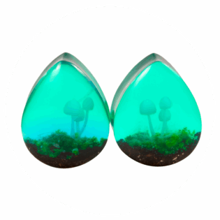 Tear Champi Expansion